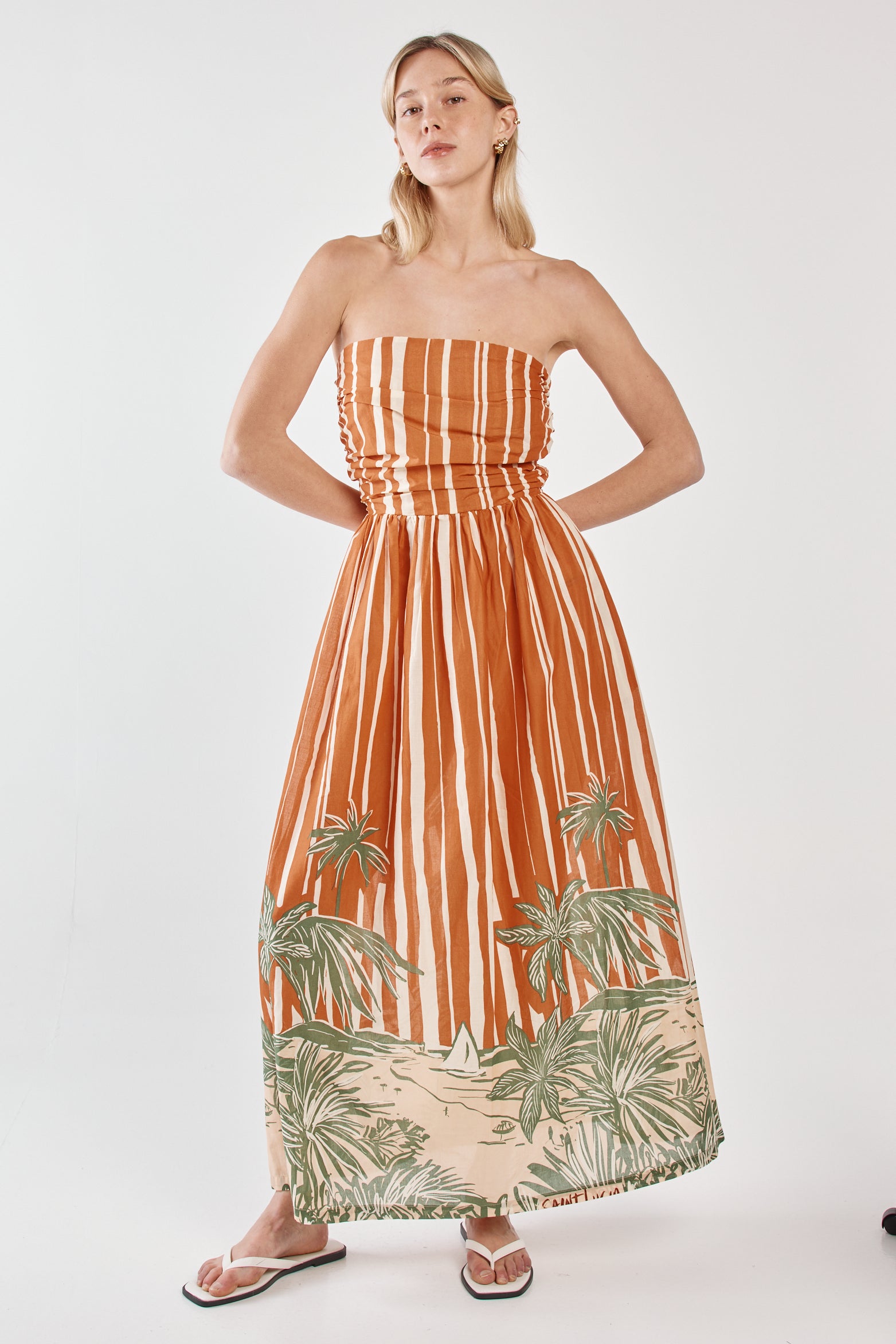Sass Mina Strapless Dress - Palm Stripe