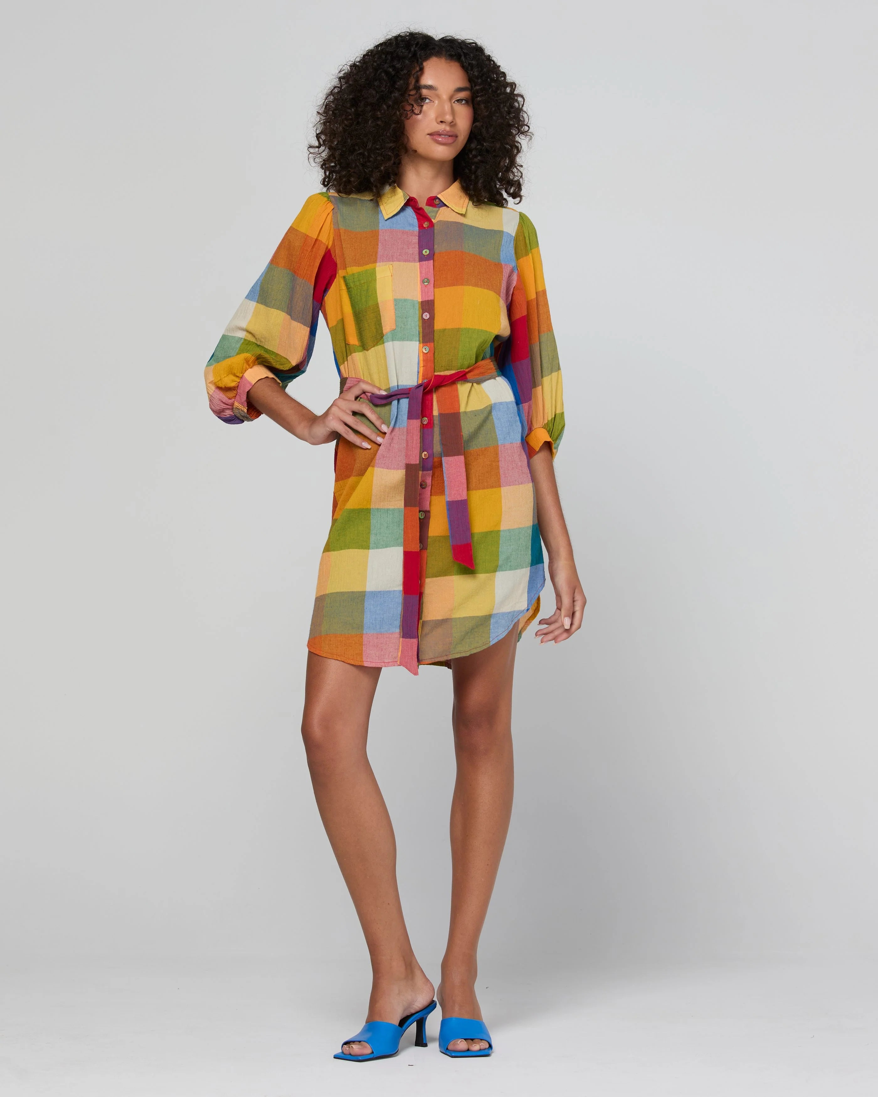 Boom Shankar Pari Shirt Dress - Kingston Check