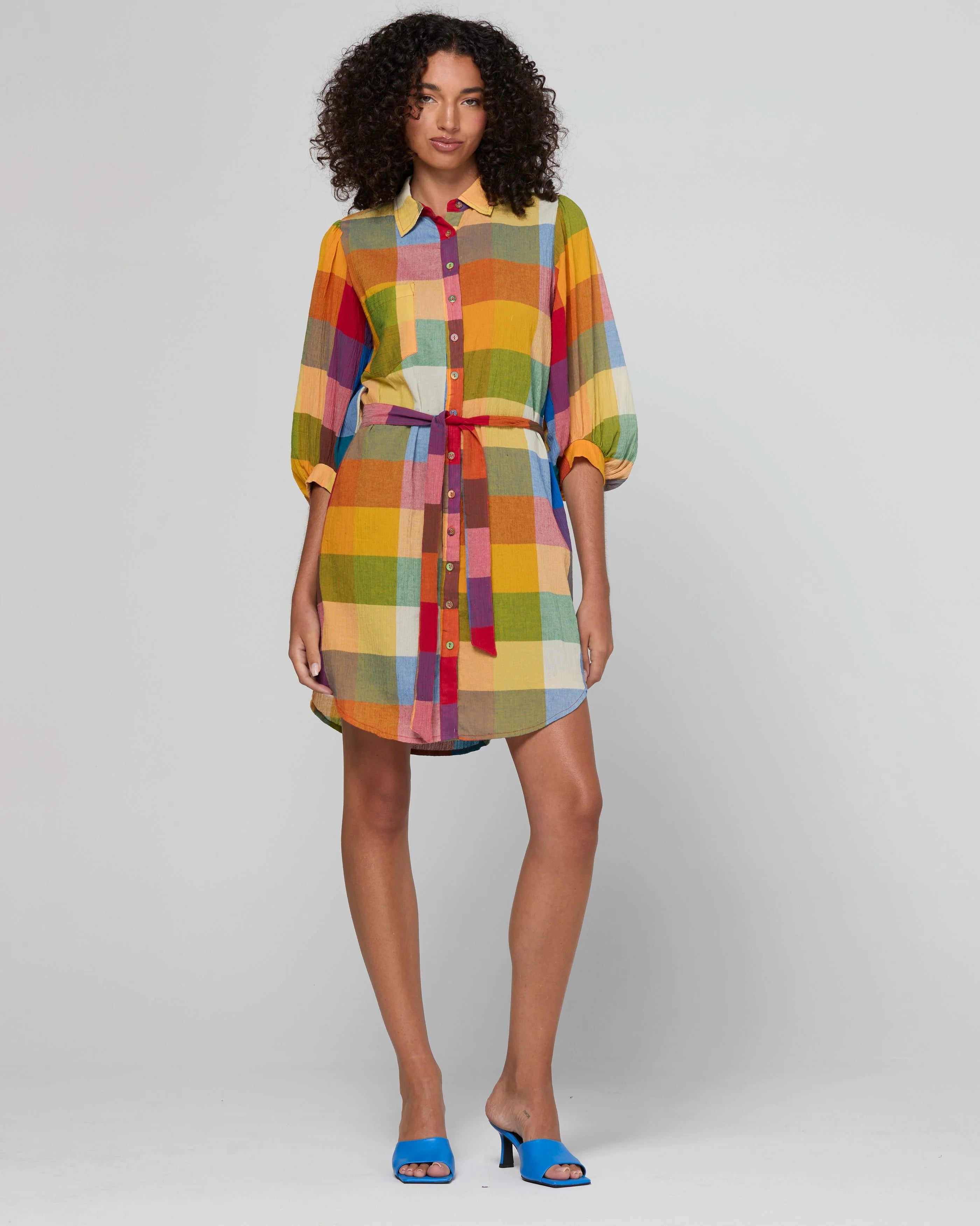 Boom Shankar Pari Shirt Dress - Kingston Check