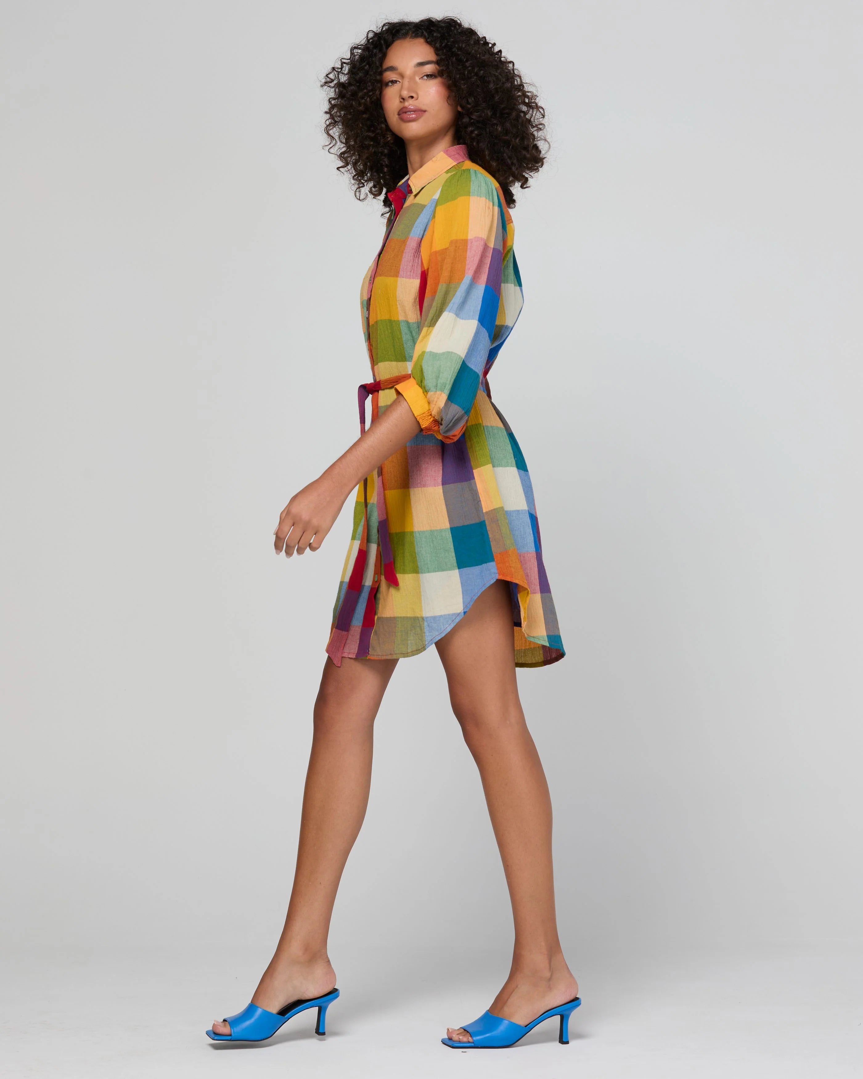 Boom Shankar Pari Shirt Dress - Kingston Check
