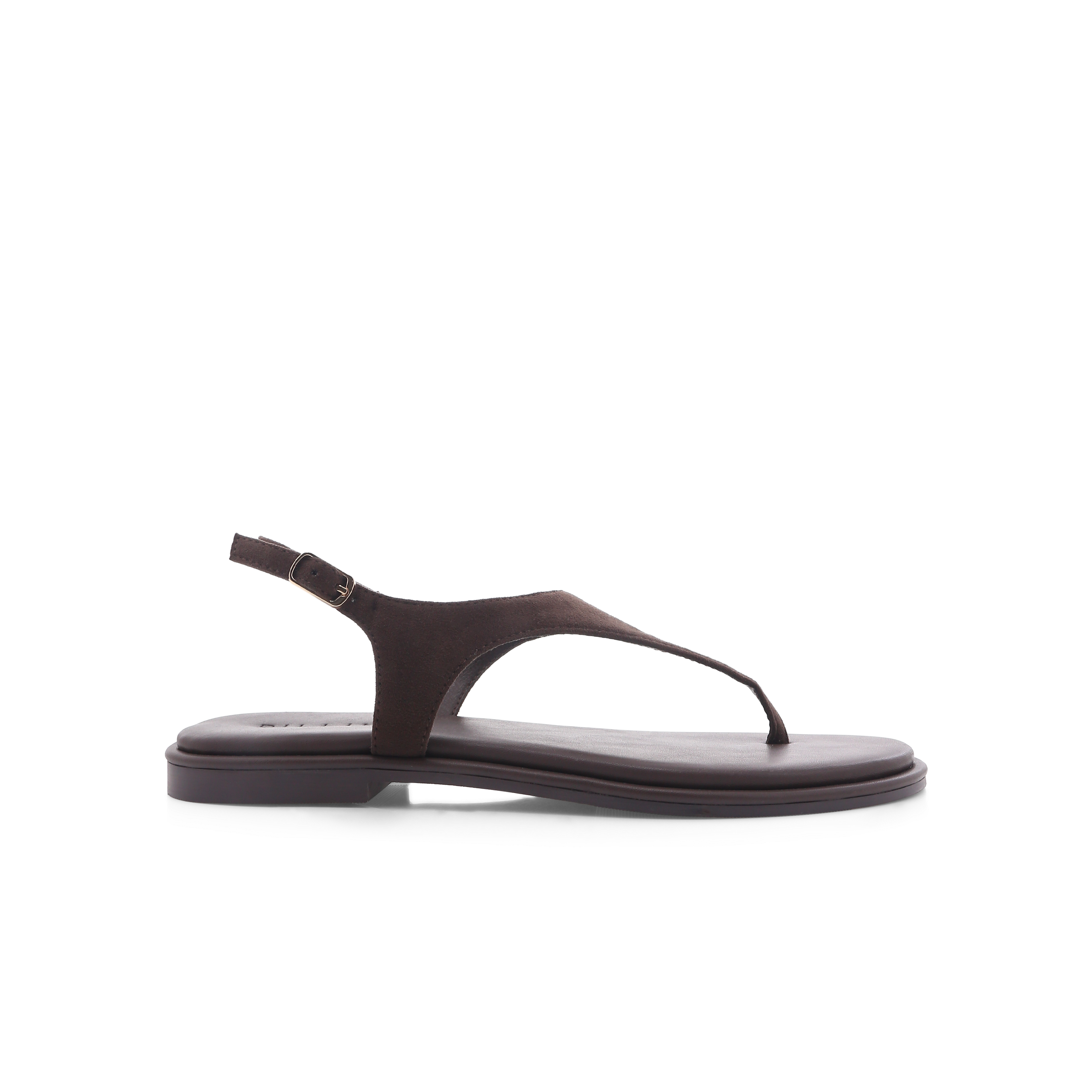 Billini IVONE - Dark Cacaro Suede