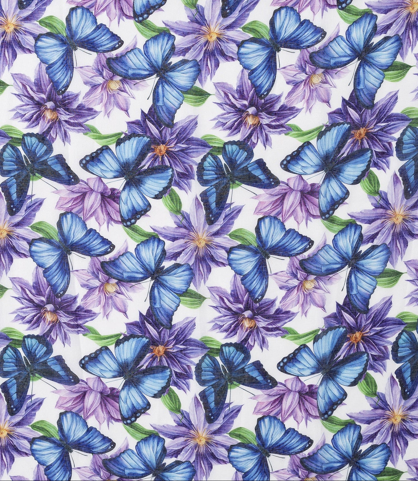 Ivys Butterfly Bloom Scarf