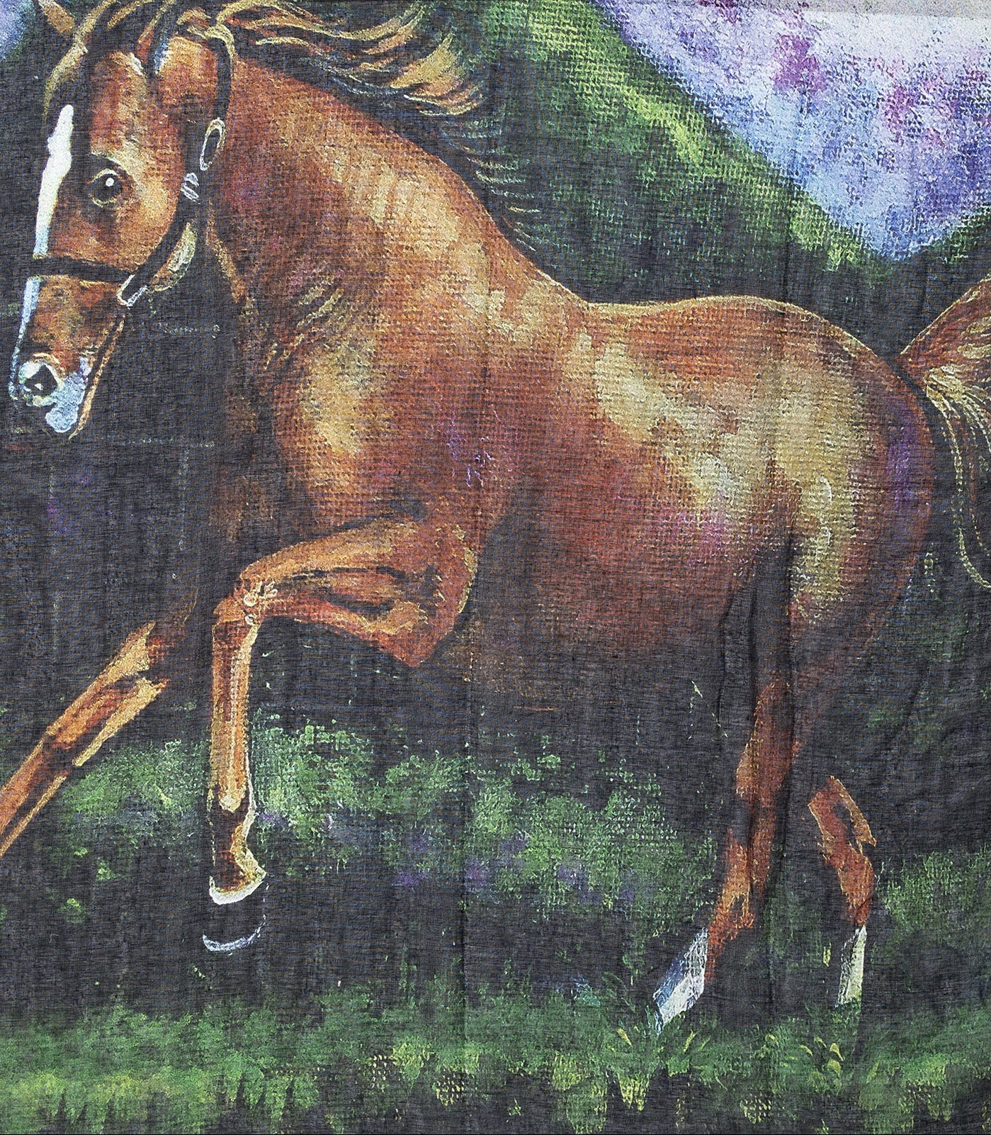 Ivys Horse Print Scarf