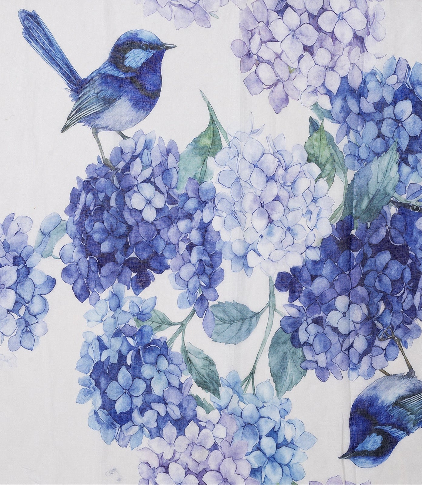 Ivys Hydrangea Bird Scarf