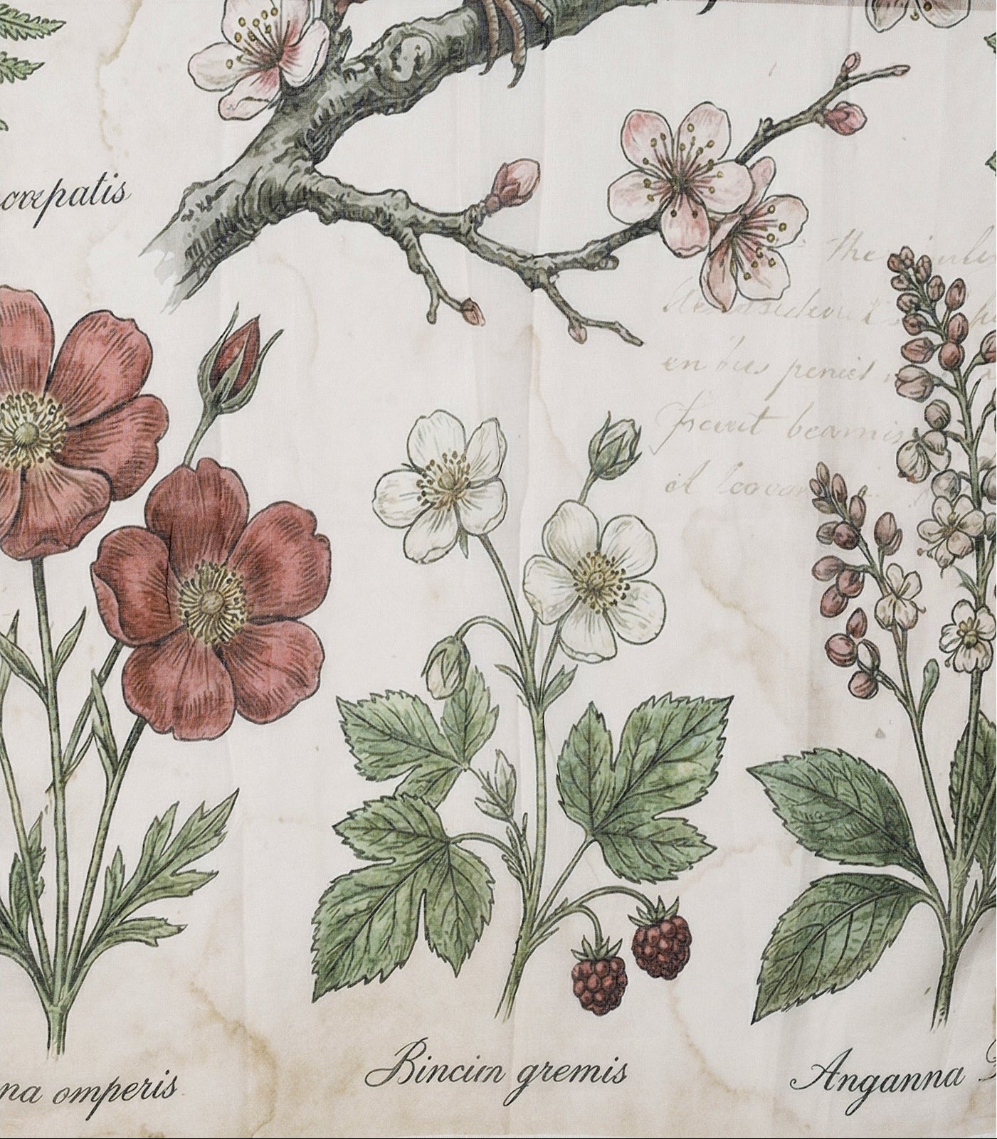 Ivys Vintage Botanical Scarf
