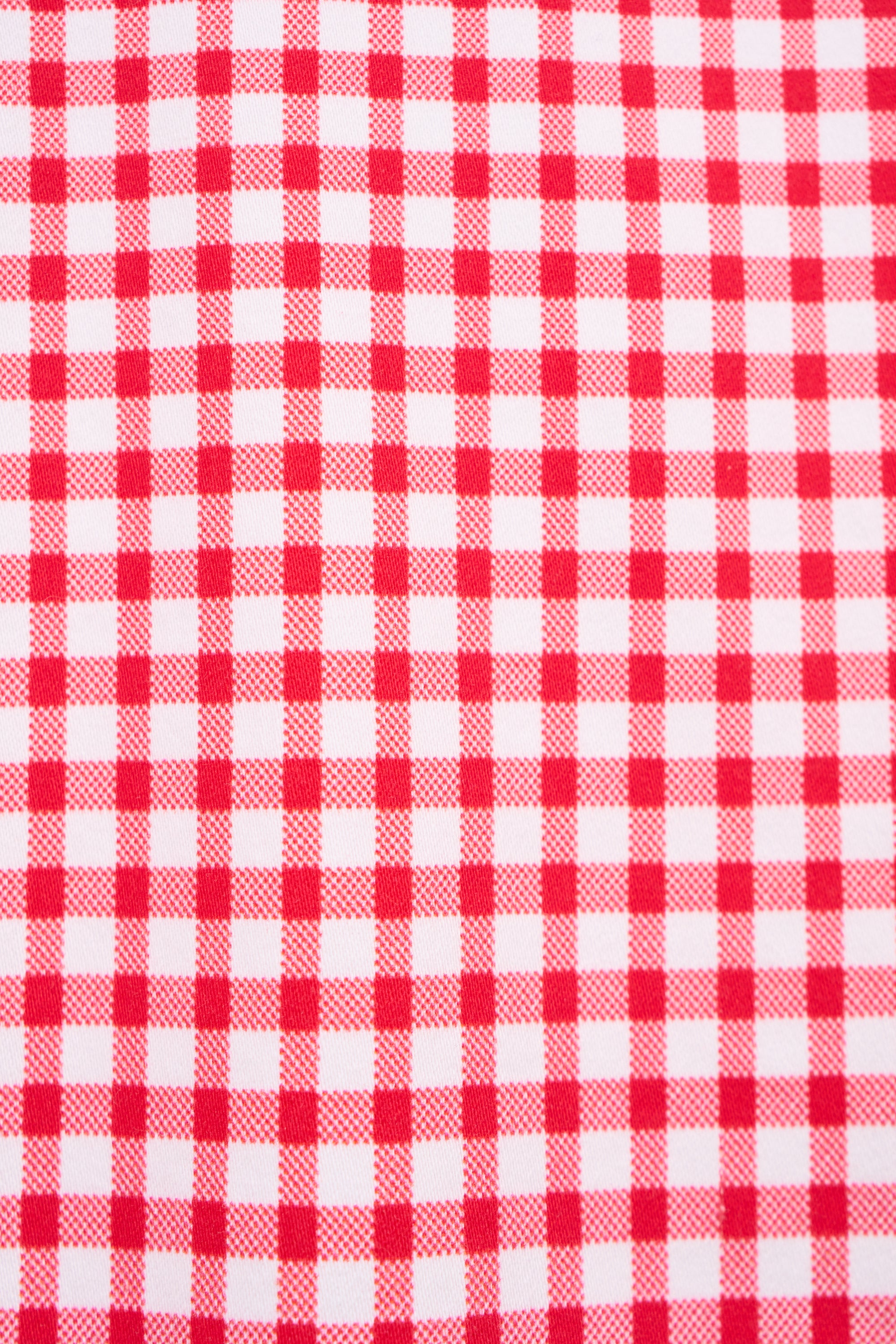Vassalli Printed Skirt - Red Gingham